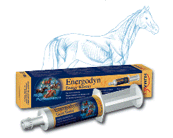 Energodyn szjon t adhat paszta 30 g - Equus webbolt